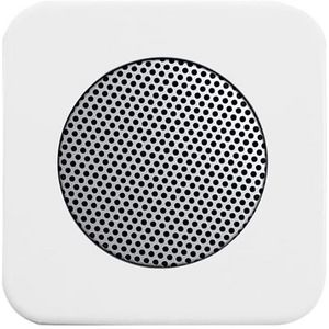 Centraalplaat voor radioluidspreker R-alpin (8253-214)