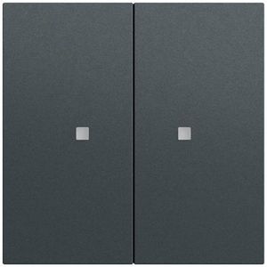 RF Multi bedieningselement-opzetstuk 2-voudig KNX System 70 antracit(gel.)