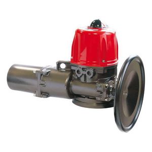 Aandr.elektr.VT Ster 36 F10/12-600Nm 400V 250W 38s rood