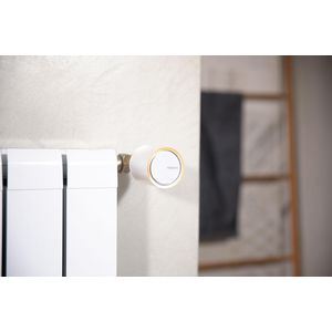 Slimme radiatorkraan Netatmo PRO