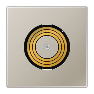 Afdekking P&L LS-edelstaal voor PL08U