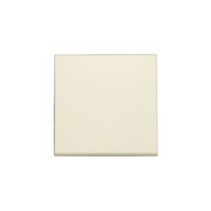 Afwerkingsset enkelv. elektr. schakelaar/knop cream