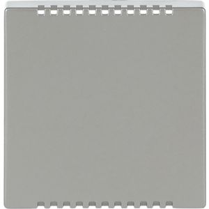 Centraalplaat voor koelelement pure-rvs (6541-866)