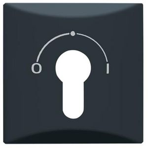 Centraalplaat slot v 2733USL-101 IP44 A-w antraciet (2155 SLPZ-35)