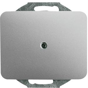 Centraalplaat blinde inb draag a-titanium (1742-266)