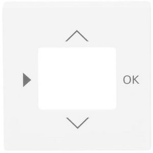 Centraalplaat voor timer/CO2/thermostaat f-matwit (6435-884)