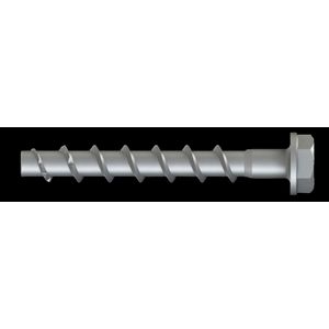 Schroefanker zeskantkop ZFC verzinkt 10x100 SW15 VVE=50