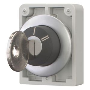 Sleutelschakelaar 30mm vlak 2 standen vast M30C-FWRS-X95