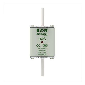 Zekering laagsp. 160A AC 500V NH2 aM dubbele melder VVE=3