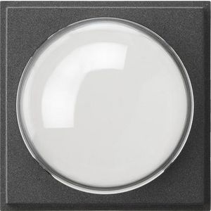 Afdekking kleurencamera Gira TX_44 antraciet