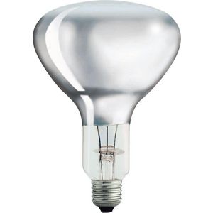 Doos a 10st. BR125 IR 150W E27 230-250V CL 1CT/10