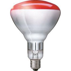 Doos a 10st. BR125 IR 250W E27 230-250V Red 1CT/10