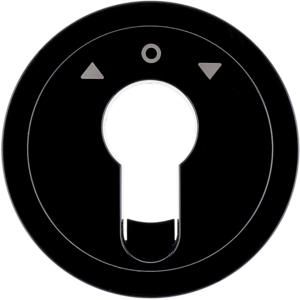 Centraalplaat jaloezie sleutelschakelaar/impulsdrukker berker R.1R.3 zwart