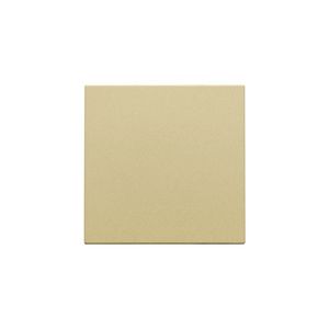 Spuitwaterdichte blindplaat gold coated