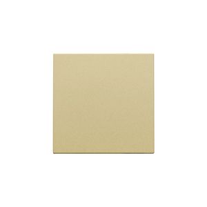 Spuitwaterdichte blindplaat gold coated