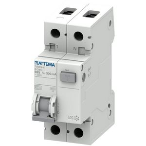 Aardlekautomaat 1P+N 25A B-karakteristiek 300mA VVE=6