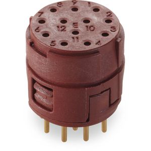 Ronde connector EPIC SIGNAL M23 12E BEM VVE=5