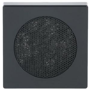 Centraalplaat voor radioluidspreker f-antraciet (8253-81)