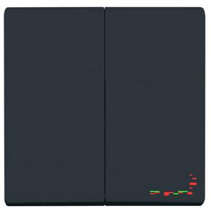 Wippen voor wis/wis en puls IP44 A-w antrac (2105-35)