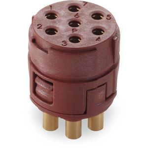 Ronde connector EPIC SIGNAL M23 7P BLMS VVE=5
