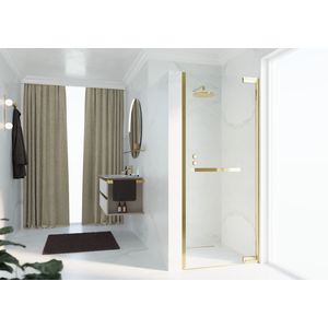 Douche draaideur N180 type 1B 100 bereik 985-1000x2000mm helder glas shiny gold