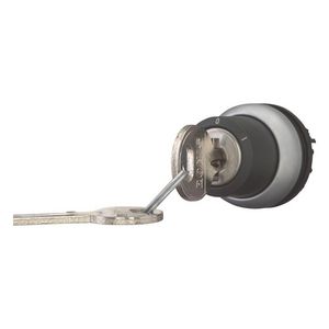 Sleutelschakelaar 2 standen RONIS 455 vast M22-WRS-RS-A1