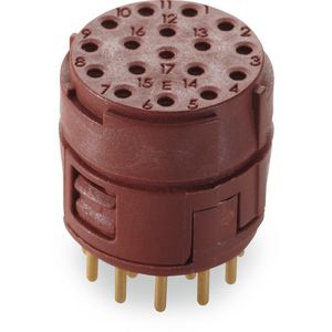 Ronde connector EPIC SIGNAL M23 17E BEM VVE=5