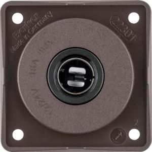 Wandcontactdoos 12V 16A berker Integro bruin