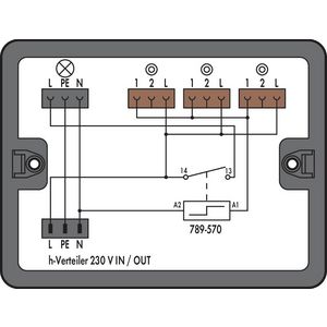 Verdeeldoos Pulsschakeling 1 ingang 899-632/101-000