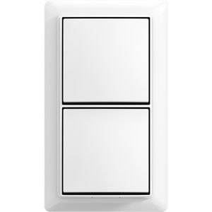 Opbouw wipschakelaar/wipschakelaar met montageplaat 10AX 250V~ balance AP+ alpine wit