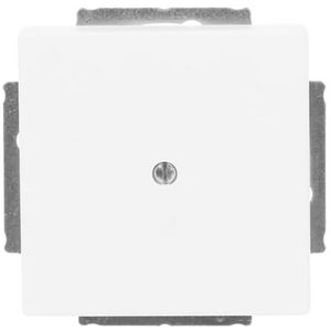 Centraalplaat blinde inb draag f-matwit