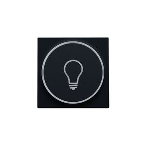 Afwerkingsset doorschijnende ring lampsymbool 6A black c.