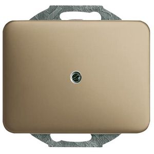 Centraalplaat blind a-brons (1742-21)