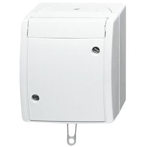 Opbouw trekschakelaar wissel IP44 10AX 250V AC Ocean-alpinwit (2610/6 W-54)