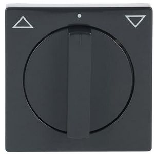 Centraalplaat v inb jaloeziesch greep draai f-antraciet (1740-81)