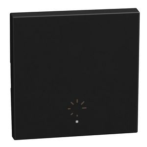 Light Now toets pict. dimmer MyHOME 2 modules 1 functie zwar