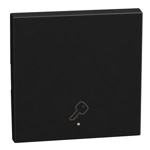 Light Now toets pictogram sleutel MyHOME 2 modules zwart