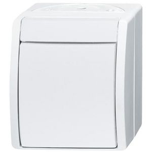 Opbouw wipsch 2-polig IP44 10AX 250V AC ocean-alpinwit (2601/2 W-54)