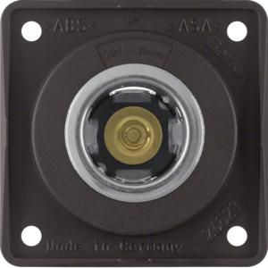 Wandcontactdoos 12V 20A berker Integro bruin