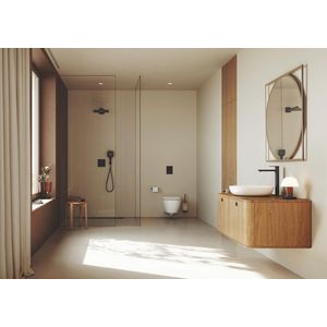 Selection closetborstelset phantom black (prof)