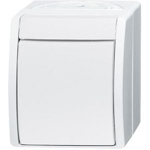 Opbouw wipschakelaar wis IP44 10AX 250V AC ocean-alpinwit (2601/6 W-54)