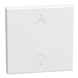 Light Now toets pict. dimmer MyHOME 2 modules 2 functies wit