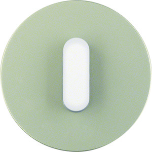 Afdekplaat+knevel Serie R.classic edelstaal polarwit