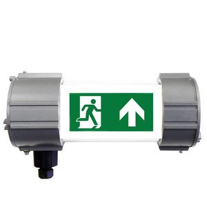 ATEX Vluchtwegverlichting Noodverlichting zone 1/21 2xM20