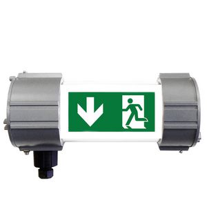 ATEX Vluchtwegverlichting Noodverlichting zone 1/21 2xM20