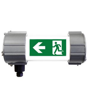 ATEX Vluchtwegverlichting Noodverlichting zone 1/21 2xM20