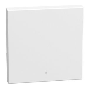 Light Now toets z. symbool MyHOME 2 modules 1 functie wit
