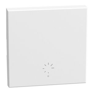 Light Now toets pict. dimmer MyHOME 2 modules 1 functie wit
