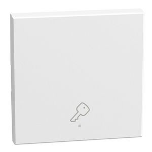 Light Now toets pictogram sleutel MyHOME 2 modules wit