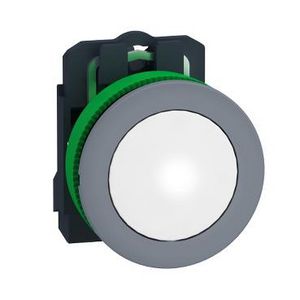 flush mounted pilot light complete 110...120V white cp grey